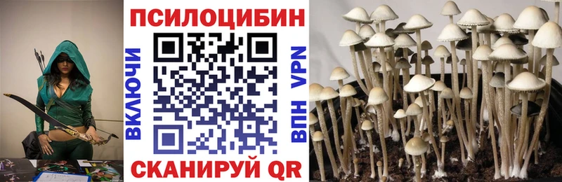 купить Кушва Галлюциногенные грибы мицелий